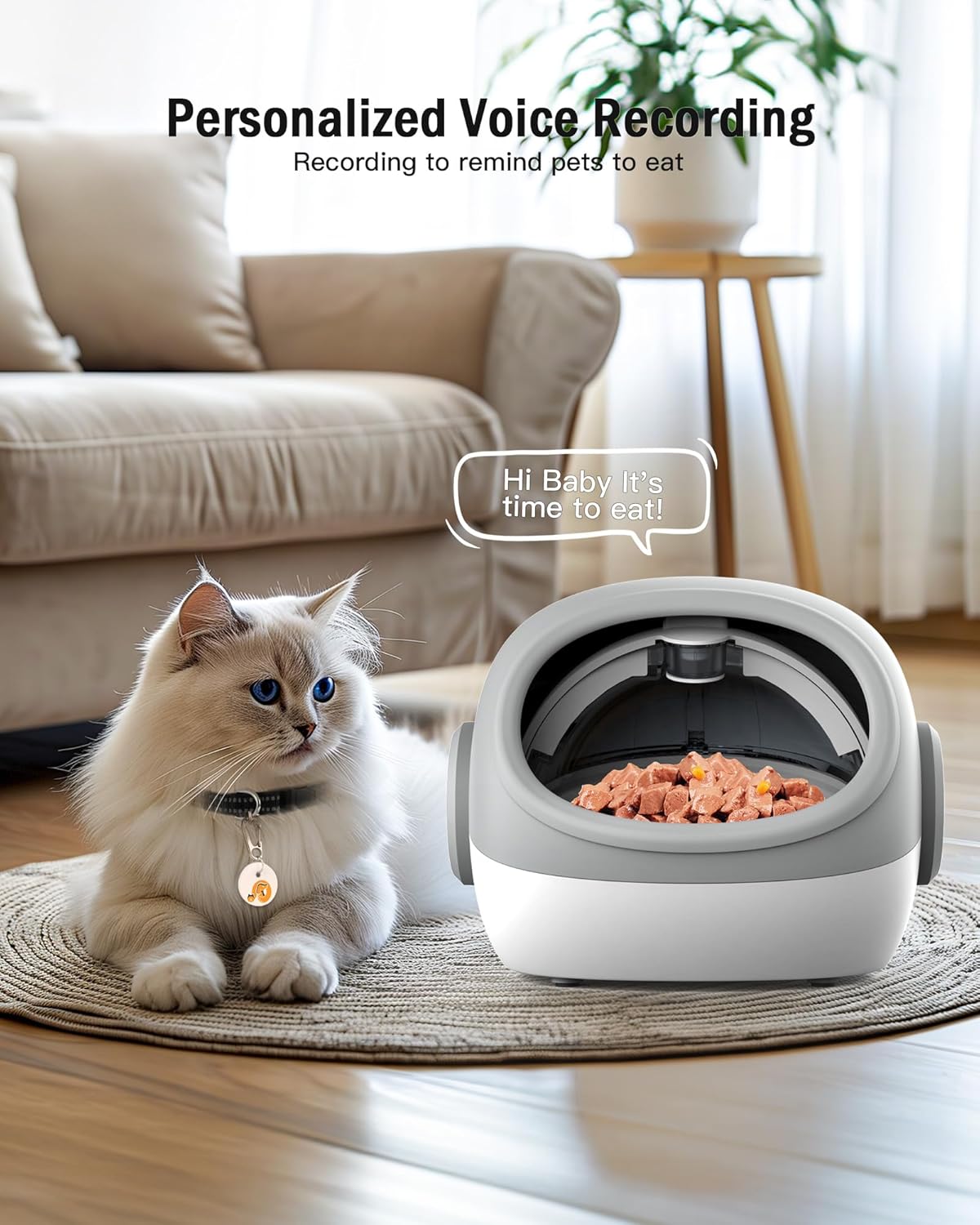 RFID Automatic Cat Feeder, Microchip Pet Feeder, Auto Cat Feeder with Collar, Automatic Pet Feeder - Prevents Food Stealing, Perfect for Prescription