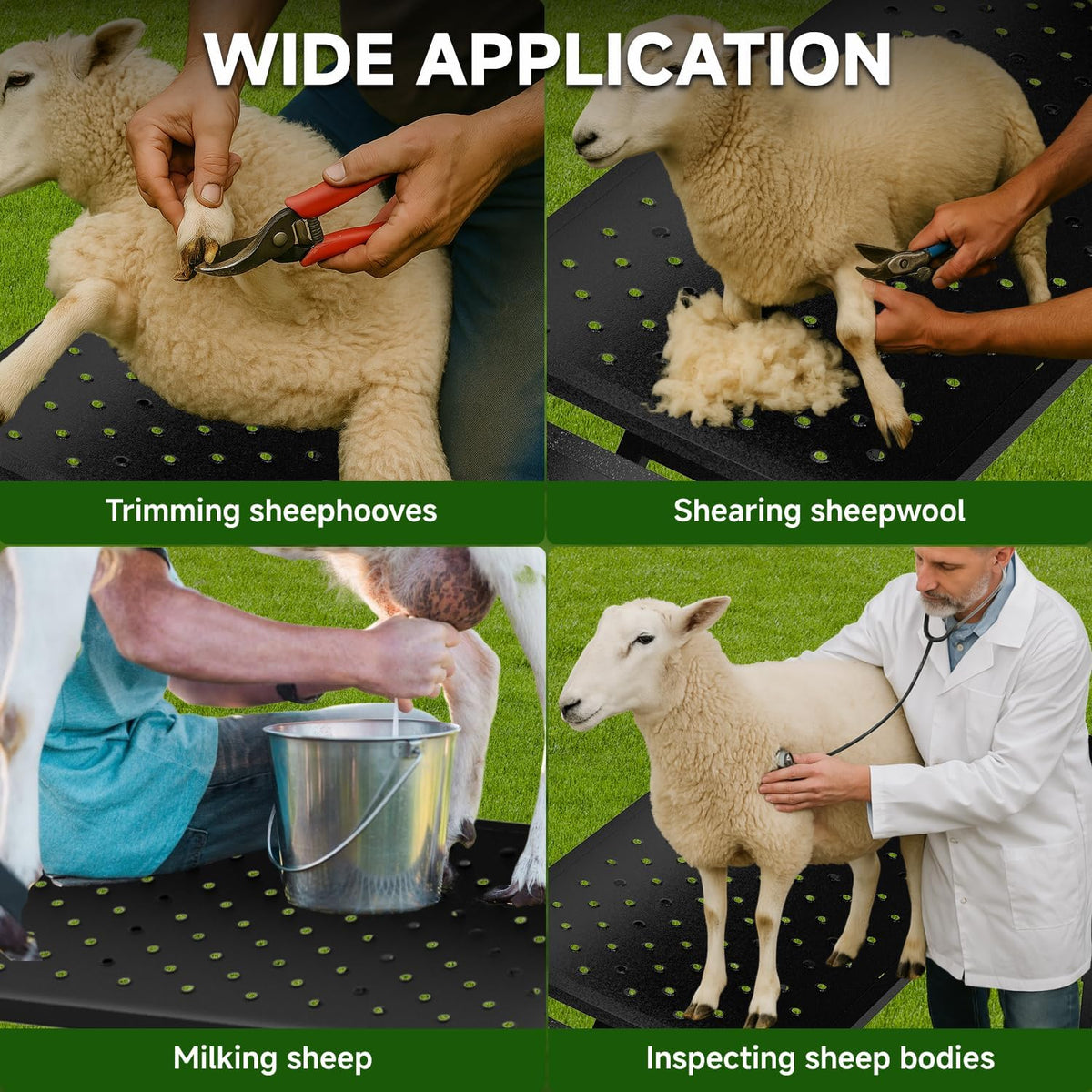 Professional Goat Milking Stand with Ramp Black with Ramp