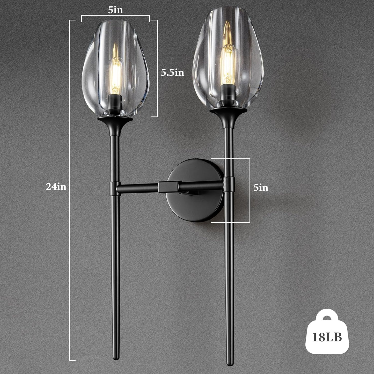 Plsintly Wall Sconce 2 Lights Modern, Bathroom Vanity Lighting Fixtures over Mirror, Wall Decor Lamp, Wall Mount Light with Clear Glass Shade for