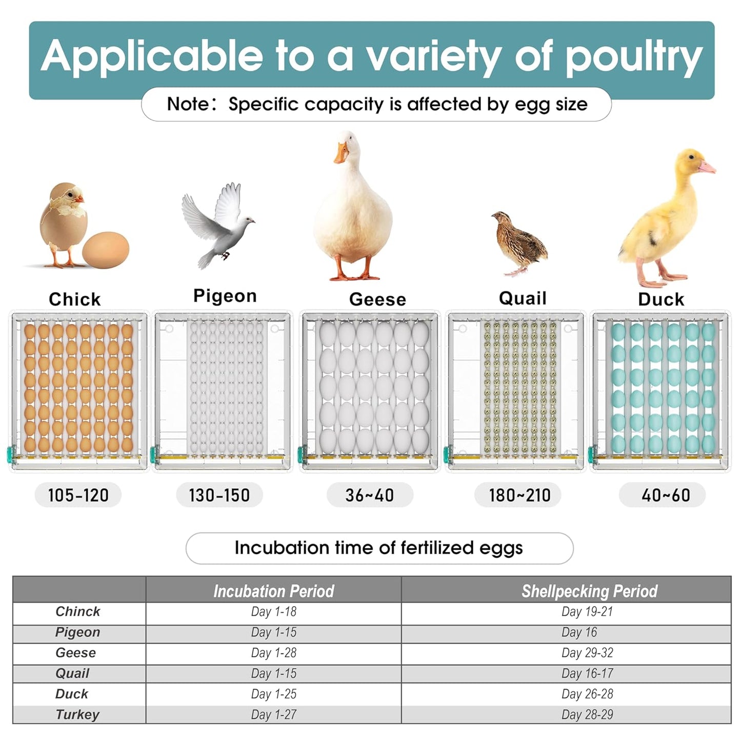 Hethay Egg Incubator, Egg Incubator with Automatic Egg Turning and Humidity Monitoring, Incubator for Chicken Eggs, 120 Eggs Incubator with Egg