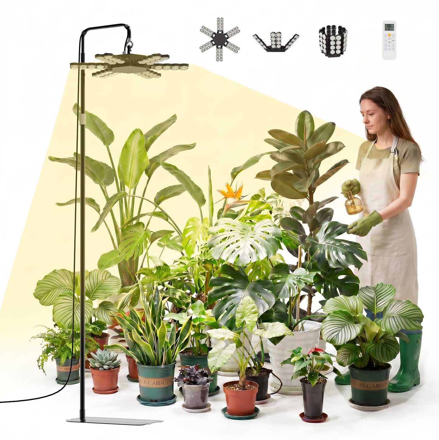 SANSI 240W Grow Light for Indoor Plant, Full Spectrum Tall Stand Floor Lamp | 22560LM, High PPFD, Heavy-Duty, Waterproof, Adjustable 62.2-86.6in, CRI 95, Timer, Dimmable, Remote Control, for Large Plants