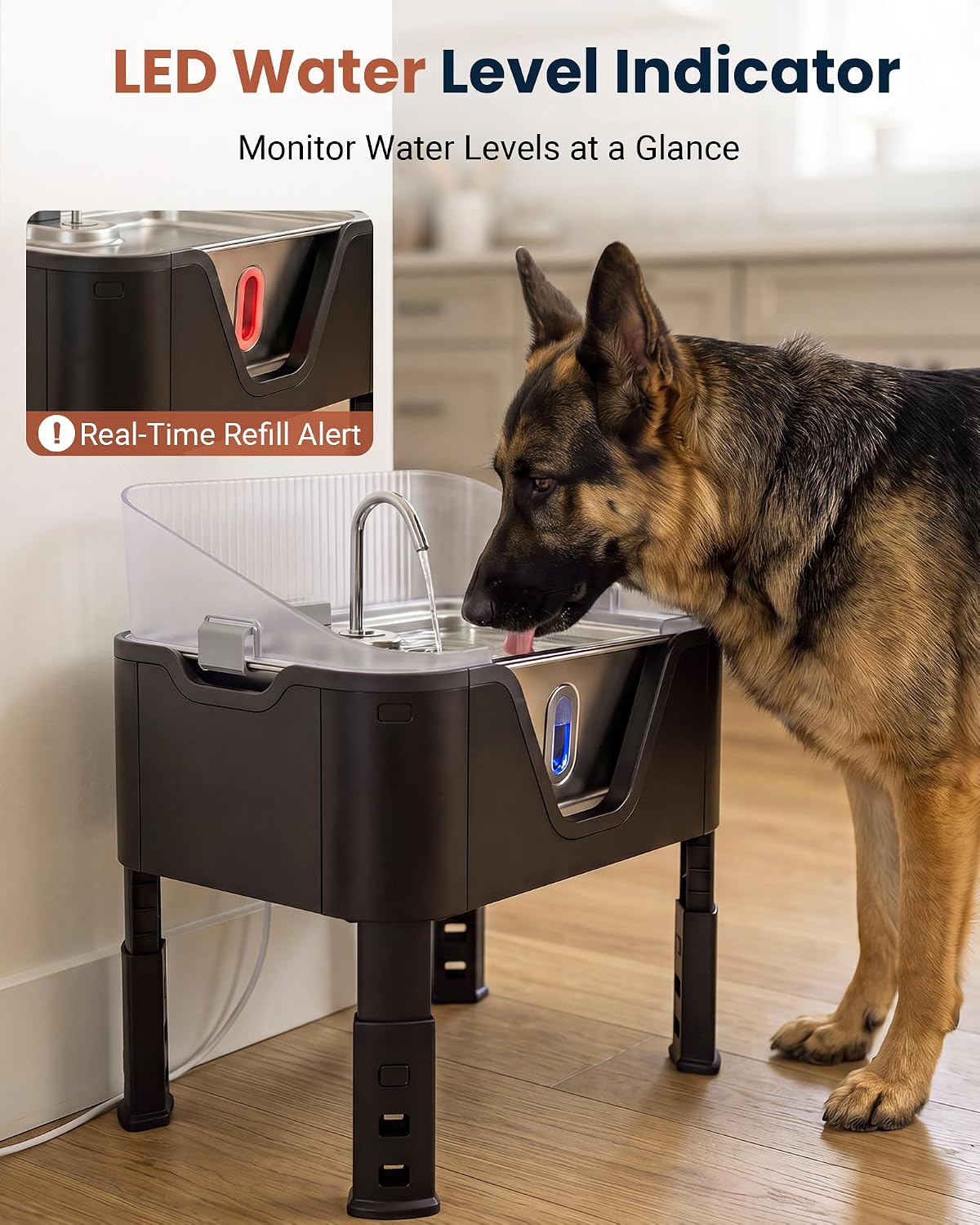 3.17 Gal Elevated Dog Water Fountain with Splash Guard, Cool Silver