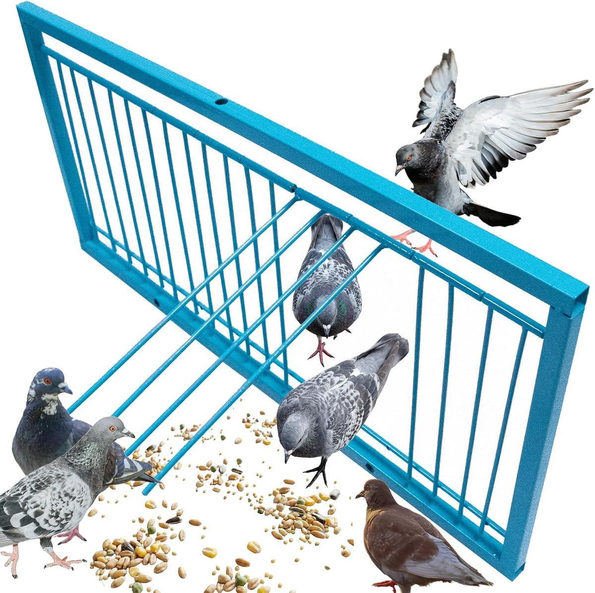 Walk In Traps 4-Sided Walk-in Pigeon Trap - Humane Live Bird Cage for Safe Capture ...