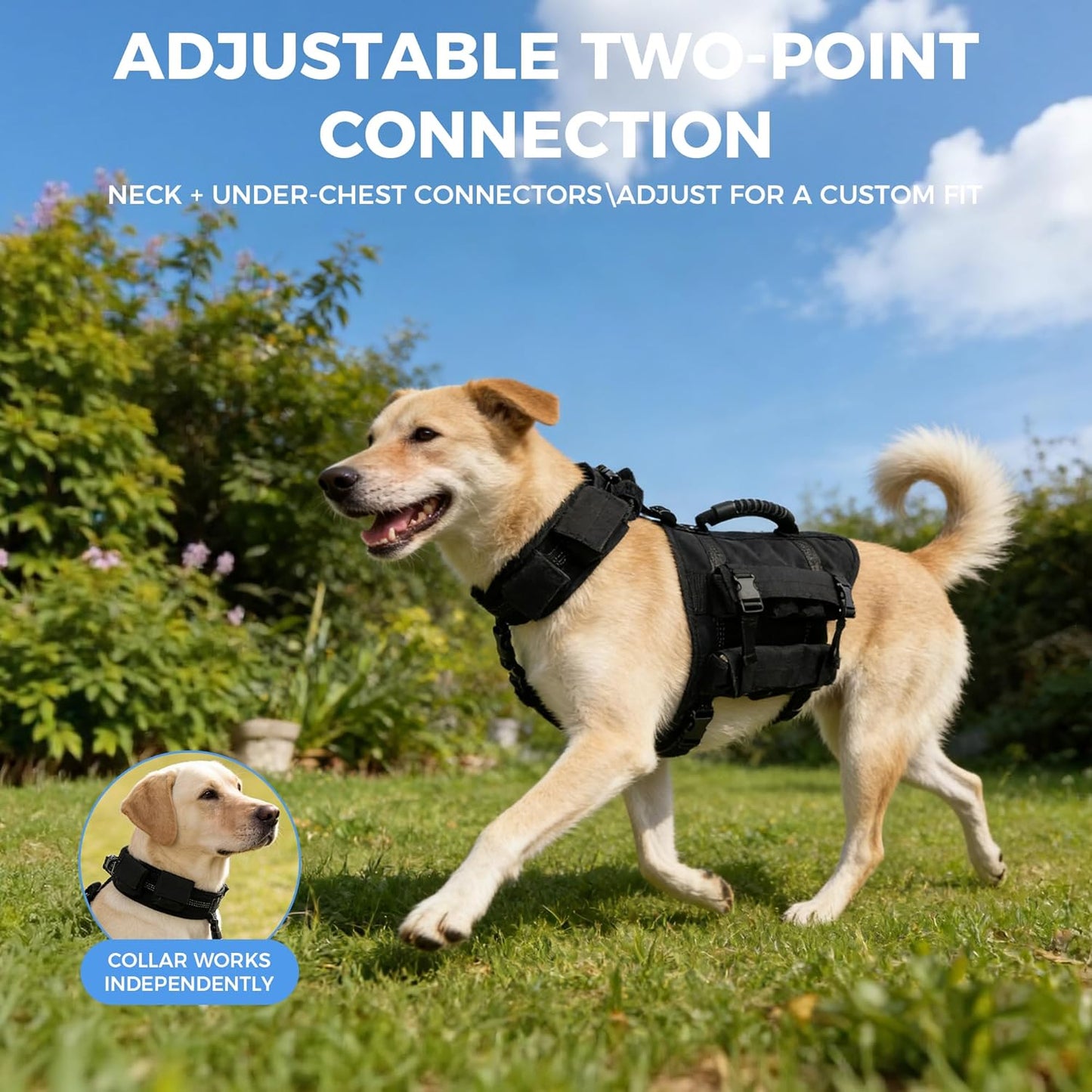 Weighted Dog Vest for Medium and Large Dogs, Adjustable Dog Weight Vest with Weighted Collar, 4 Removable Weight Blocks for Exercise, Walking, Strength Training & Conditioning（L）