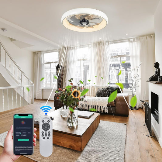 Oyisen Ceiling Fans with Lights, 20 Inch Enclosed Ceiling Fan with Light, Six Wind Two Modes Low Profile Ceiling Fan with Light, Flush Mount Ceiling