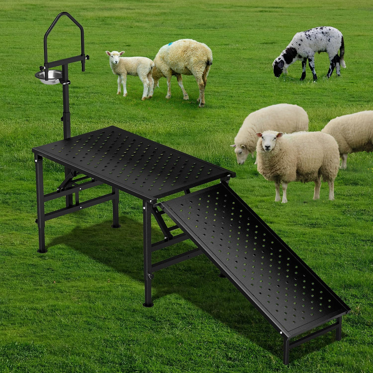 Professional Goat Milking Stand with Ramp Black with Ramp