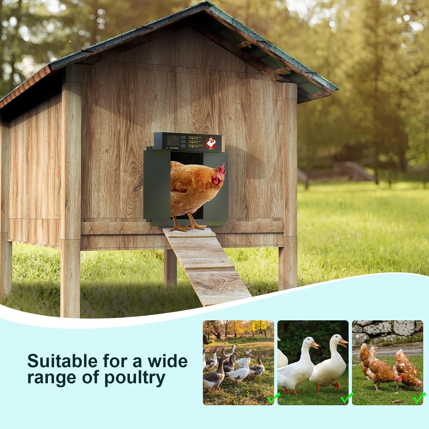 CKAIJHIEG Chicken Coop Door, Automatic Chicken Coop Door Opener, Large LCD Display with Timer & Light Sensor, Anti-Pinch Protection