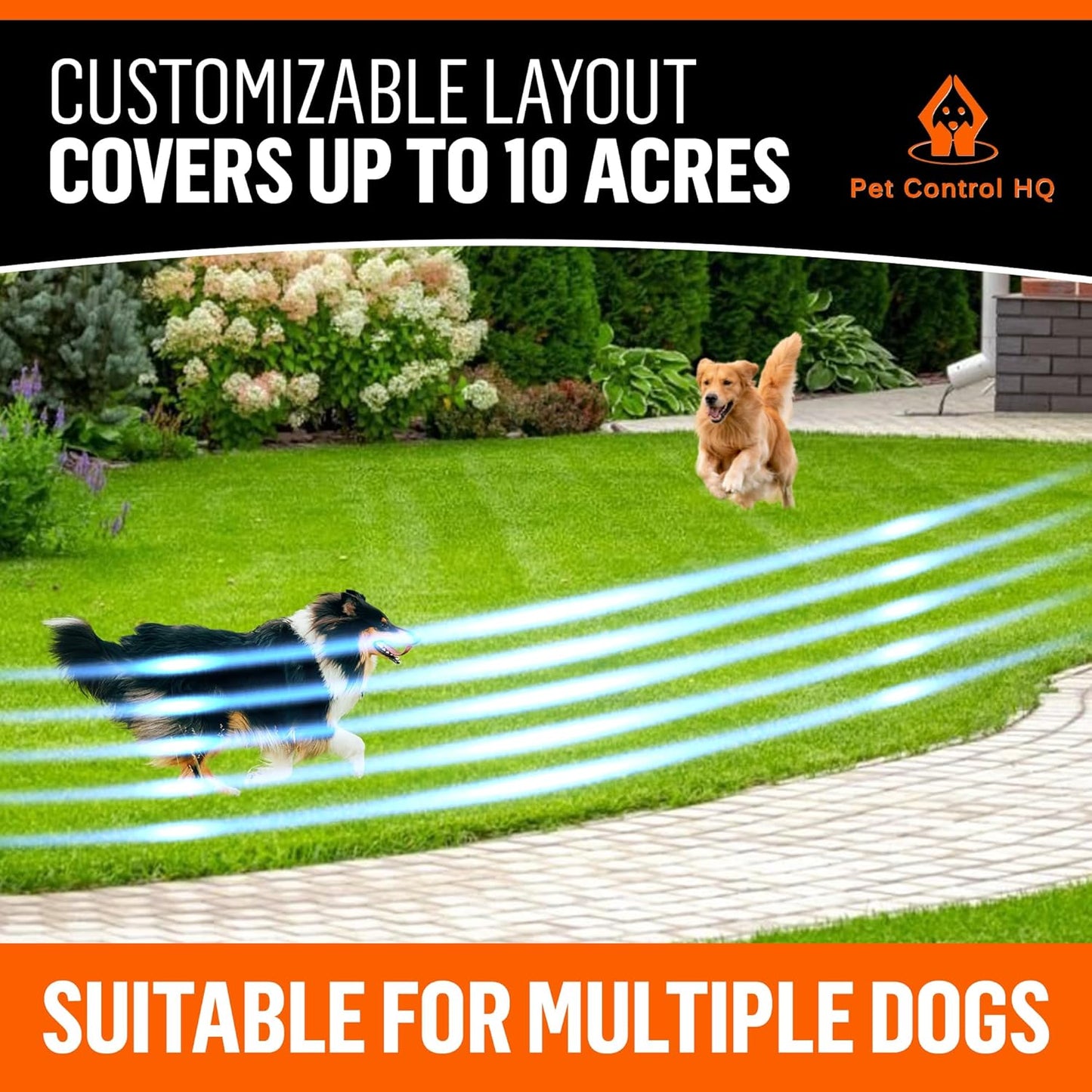 Wireless Dog Fence System - Dog Fence Electric Shock Collar Training - Pet Containment System with Fence Wire Underground Perimeter - 2 Collars