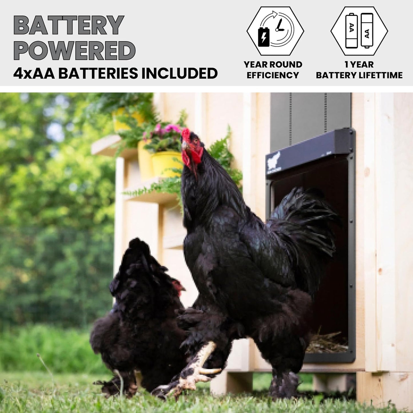 RUN-CHICKEN Door (Gray) Giant for Large Poultry, Turkey Coop Door, Battery Powered, Large Size Automatic Coop Door, Full Aluminum Automatic Chicken