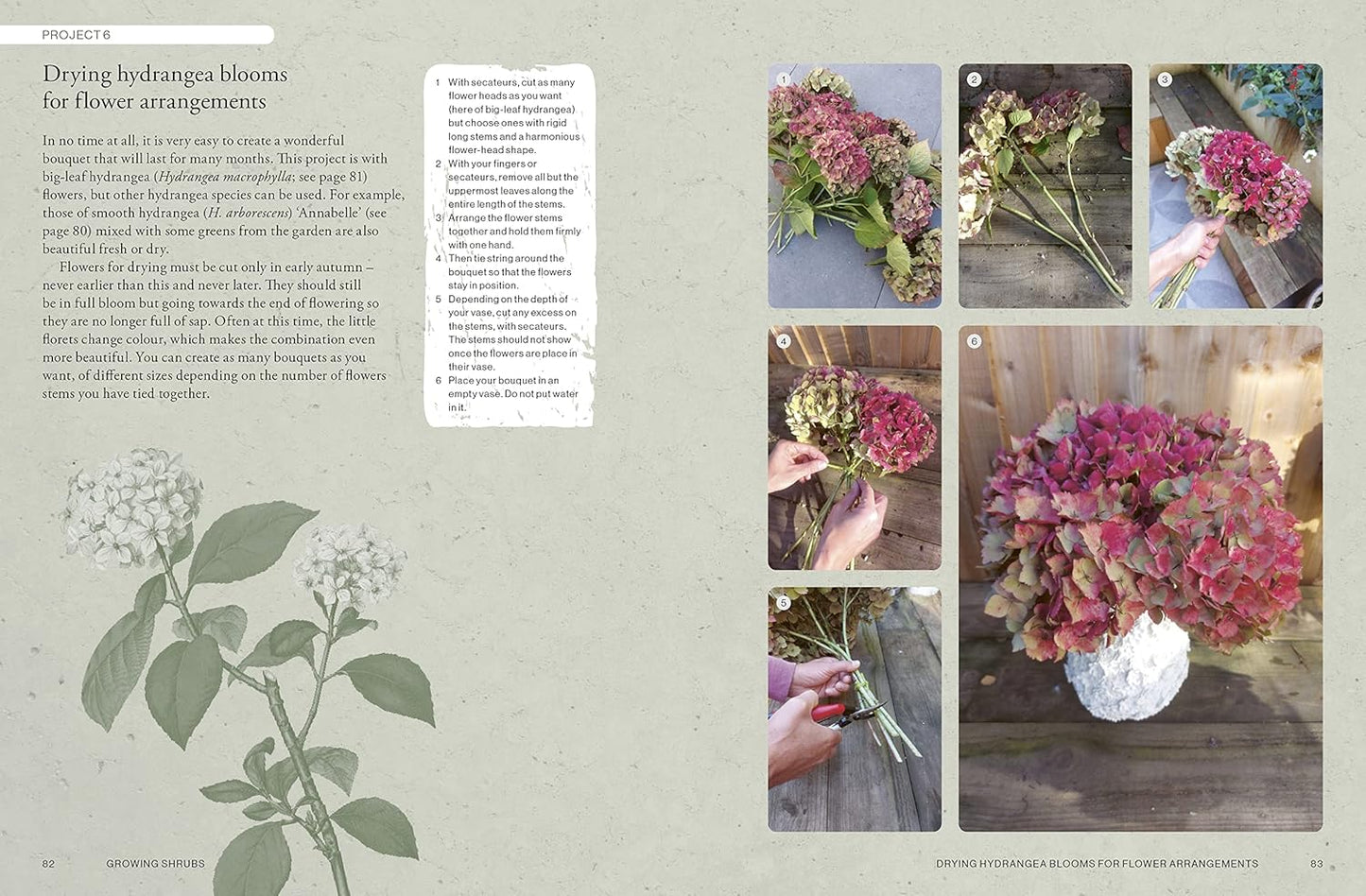 The Kew Gardener's Guide to Growing Shrubs: The Art and Science to Grow with Confidence