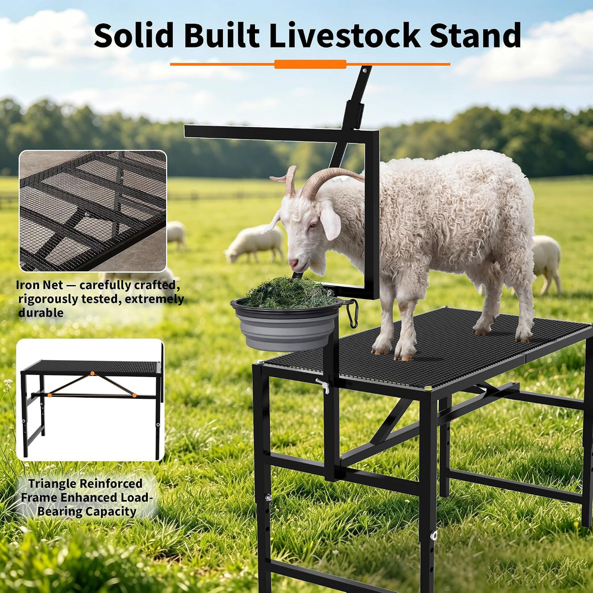 Goat Milking Stand,Goats,Adjustable Feed Bin & Head Holder