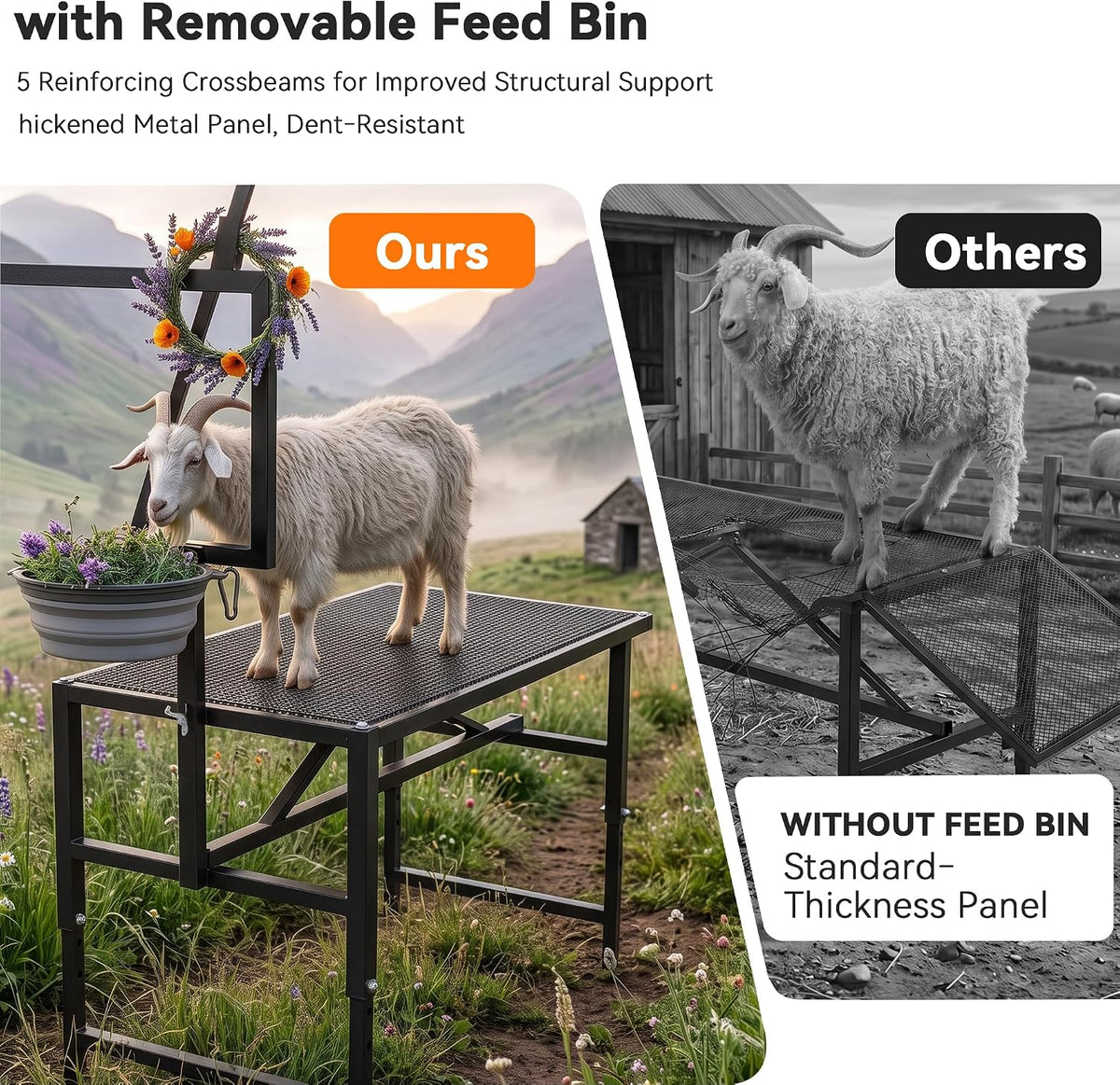 Goat Milking Stand,Goats,Adjustable Feed Bin & Head Holder